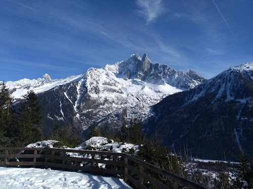 Agence immobilière LA FLORIA IMMOBILIER Chamonix-Mont-Blanc