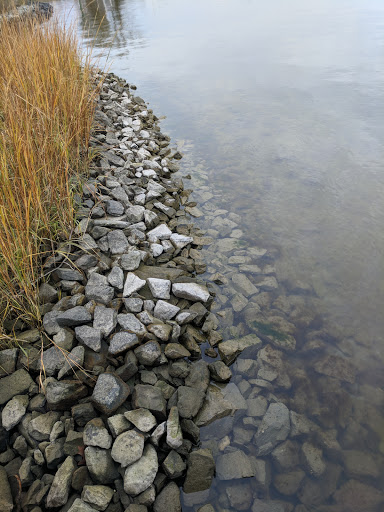 History Museum «Chesapeake Bay Maritime Museum», reviews and photos, 213 North Talbot Street, St Michaels, MD 21663, USA