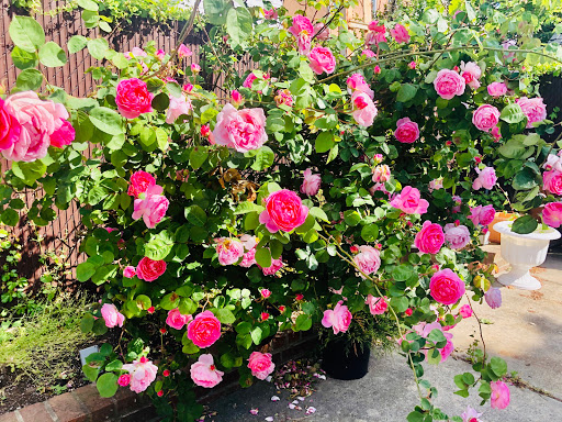 Park «Dyker Beach Park», reviews and photos, 334 Bay 8th St, Brooklyn, NY 11228, USA