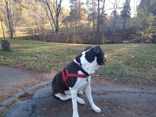 Golf Course «Steele Creek Park Golf Course», reviews and photos, 20 Little Ln, Bristol, TN 37620, USA