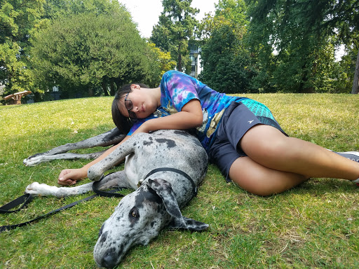 Park «Couch City Park», reviews and photos, 1961 NW Glisan St, Portland, OR 97209, USA