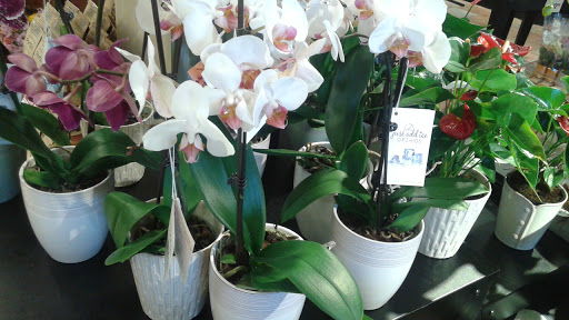 Supermarket «Giant Eagle Supermarket», reviews and photos, 27505 Chardon Rd, Willoughby Hills, OH 44092, USA