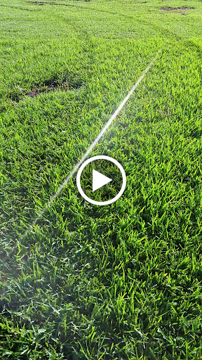 Racecourse «Sebring International Raceway», reviews and photos, 113 Midway Dr, Sebring, FL 33870, USA