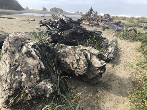 Coffee Shop «Bandon Coffee Cafe», reviews and photos, 365 2nd St SE, Bandon, OR 97411, USA