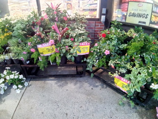 Market «Adams Hometown Market», reviews and photos, 115 Main St, Monson, MA 01057, USA