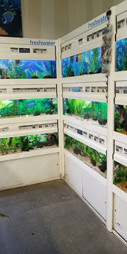 Pet Supply Store «Petco Animal Supplies», reviews and photos, 420 El Cerrito Plaza, El Cerrito, CA 94530, USA