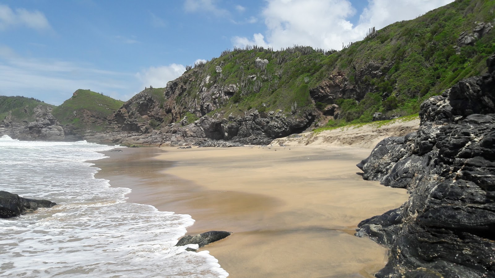 Φωτογραφία του Praia Brava με καθαρό νερό επιφάνεια