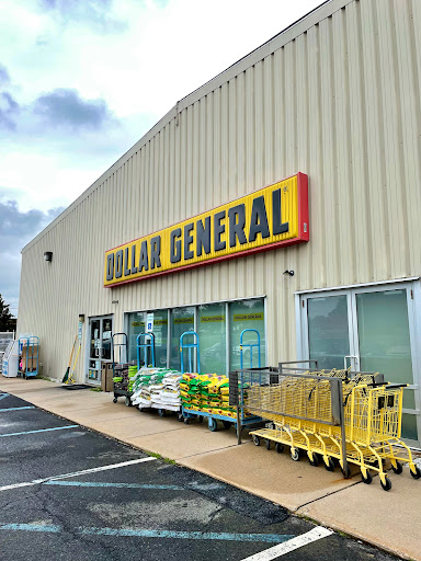 Dollar General, 330 W Weis St, Topton, PA 19562, USA, 