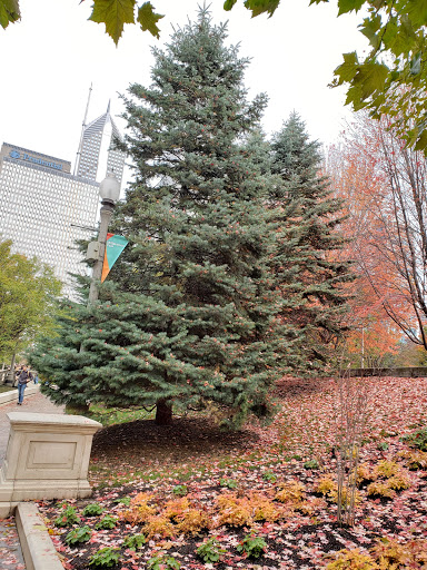 Park «Millennium Park», reviews and photos, 201 E Randolph St, Chicago, IL 60602, USA