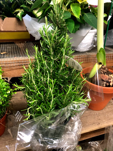 Florist «Sieck-Wright Floral Products», reviews and photos, 231 Monmouth St, Hightstown, NJ 08520, USA