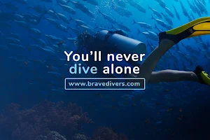 Brave Divers image