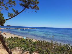 Platja Sargamasa'in fotoğrafı imkanlar alanı