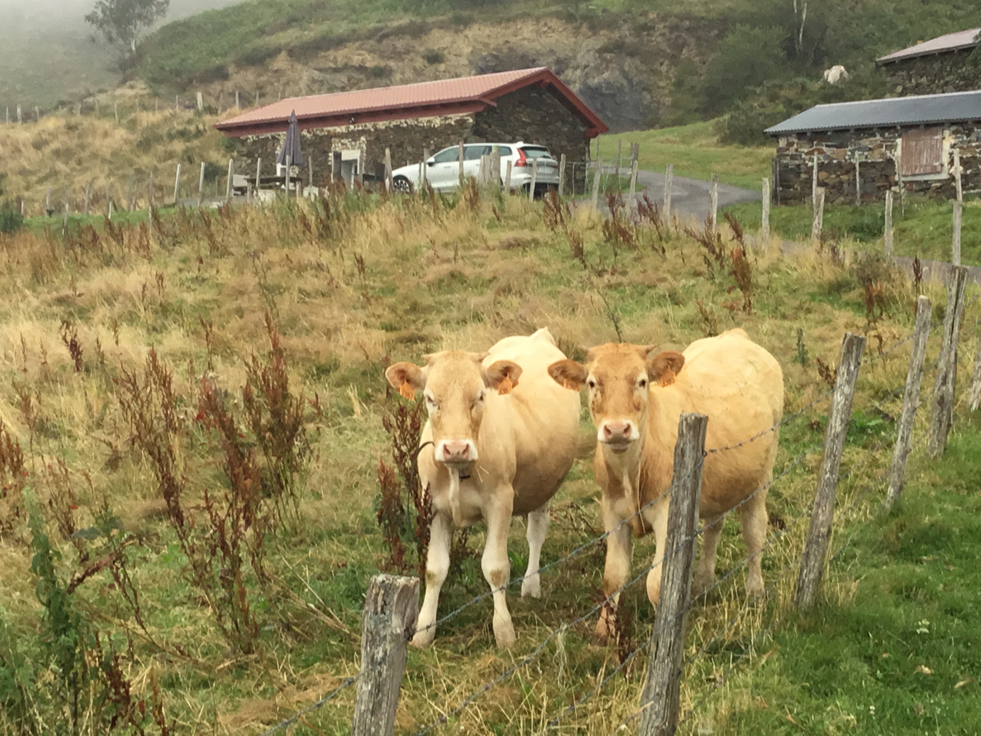 Photo n° 2 de l'avis de E.l fait le 23/05/2020 à 08:19