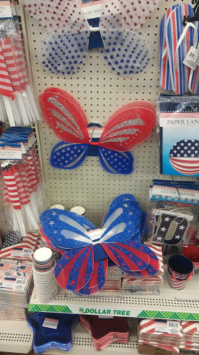 Dollar Store «Dollar Tree», reviews and photos, 1230 VFW Pkwy, West Roxbury, MA 02132, USA