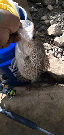 Outdoor Sports Store «C & C Outdoors», reviews and photos, 2940 Topside Rd, Louisville, TN 37777, USA