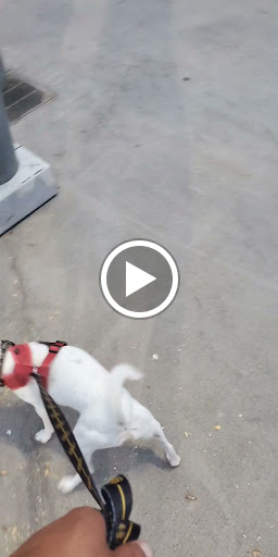 Baseball Club «Charlotte Knights Baseball Club», reviews and photos, 324 S Mint St, Charlotte, NC 28202, USA