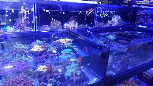 Tropical Fish Store «The Premium Aquarium», reviews and photos, 1875 25th St SE, Salem, OR 97302, USA