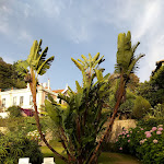 Photo n°1 de l'avis de Jacky.v fait le 20/08/2021 à 17:55 sur le  Hotel Sintra Jardim à Sintra