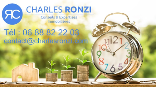 Agence immobilière Conseils & Expertises Immobilières | Charles Ronzi Fougerolles-Saint-Valbert