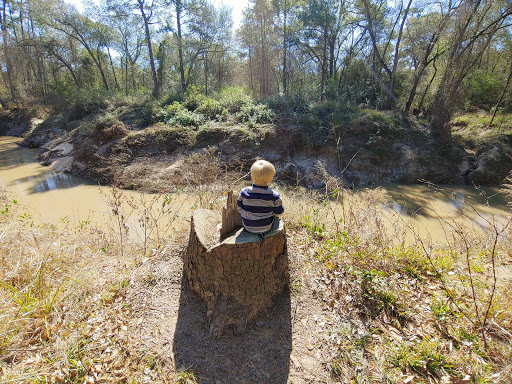 Park «Telge Park», reviews and photos, 12400 Pleasant Grove Rd, Cypress, TX 77429, USA