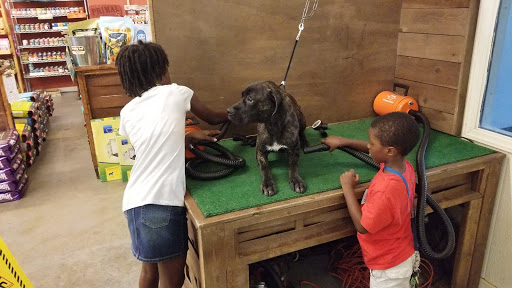 Pet Supply Store «Wags & Whiskers - West Nashville», reviews and photos, 3731 Charlotte Ave, Nashville, TN 37209, USA