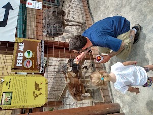 Wild Acres Ranch - photo 52