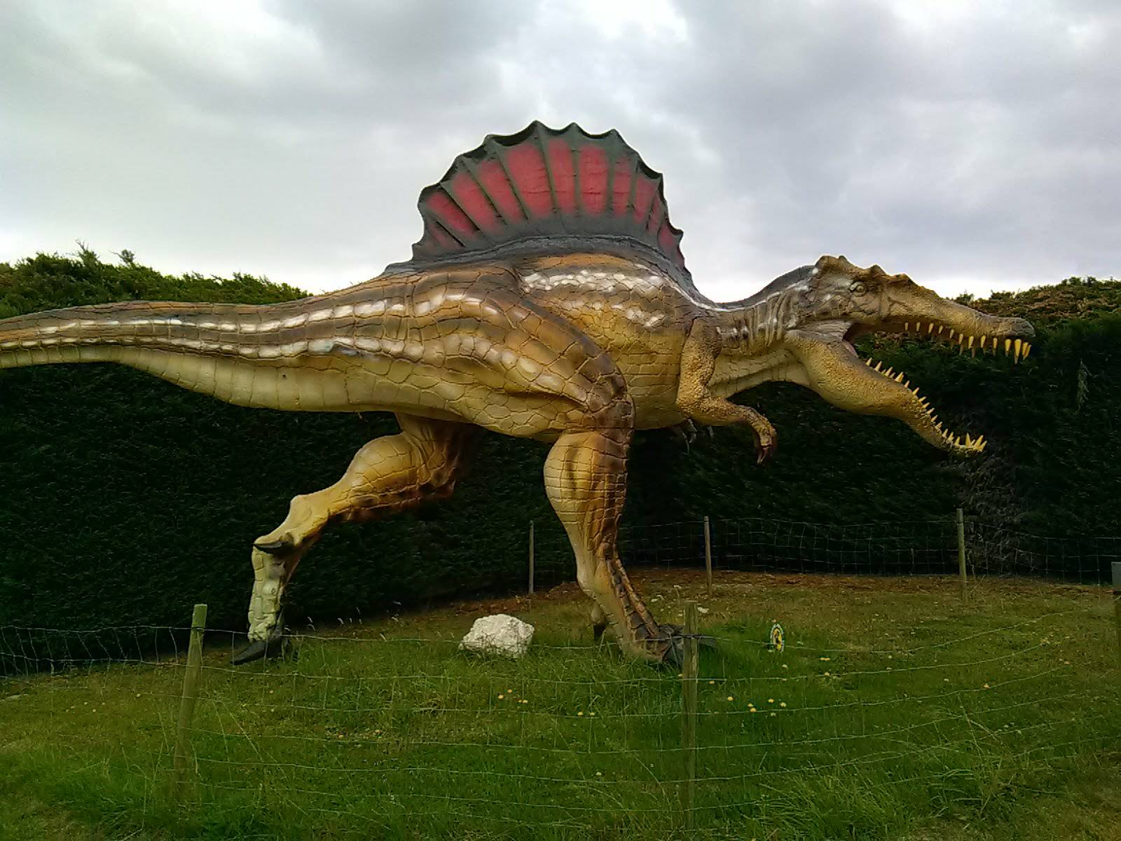 Photo n° 1 de l'avis de olivier.e fait le 15/07/2020 à 10:28