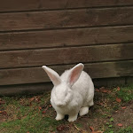 Photo n°23 de l'avis de Anja.e fait le 13/10/2021 à 14:15 sur le  Gaststätte Waldsteinhaus Christine und Ramona Mulzer à Zell
