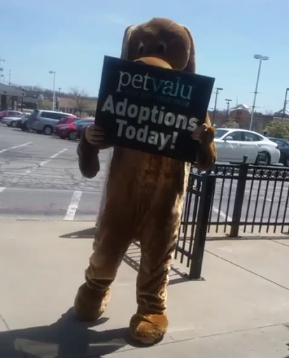 Pet Supply Store «Pet Valu», reviews and photos, 8928 Darrow Rd D101, Twinsburg, OH 44087, USA