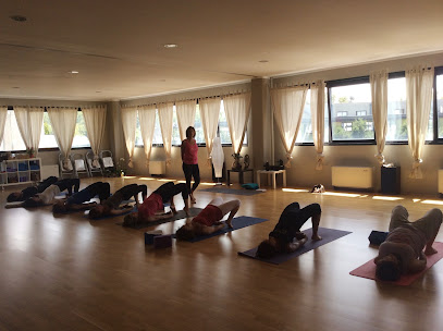 Studio Yoga Samgha Asd - Via Giannino Degani, 10 / h, 42124 Reggio Emilia RE, Italy
