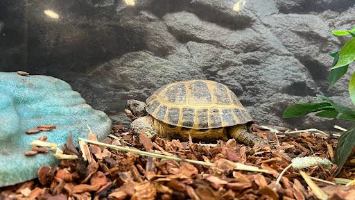 Pet Supply Store «Petco Animal Supplies», reviews and photos, 3860 Elmore Avenue, Davenport, IA 52807, USA