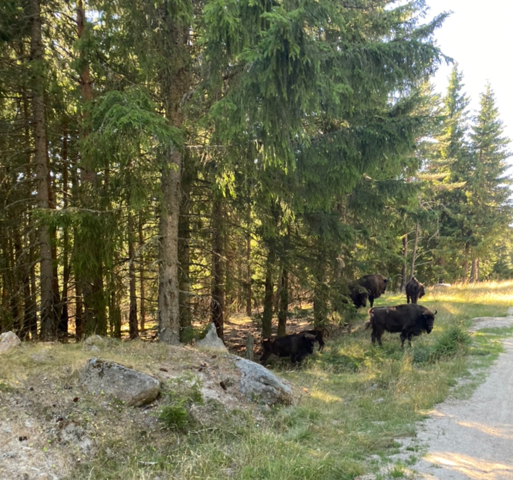 Photo n° 2 de l'avis de Agathe. fait le 04/08/2022 à 12:02