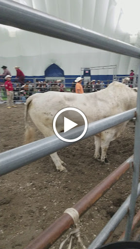 Stadium «Toyota Park», reviews and photos, 7000 Harlem Ave, Bridgeview, IL 60455, USA
