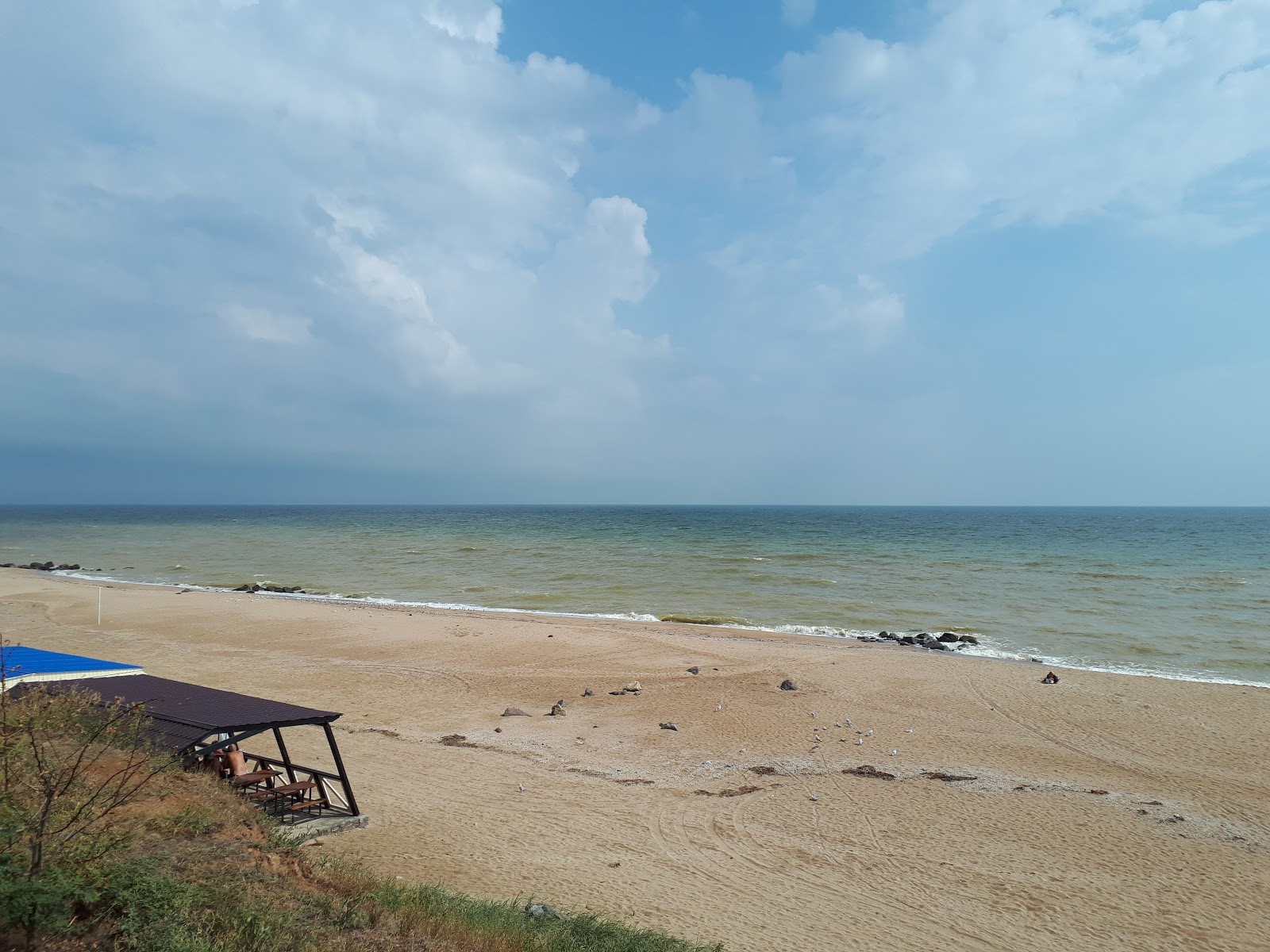 Foto di Plyazh Novopetrovka - luogo popolare tra gli intenditori del relax