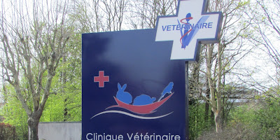 Clinique vétérinaire L'Arche des NAC