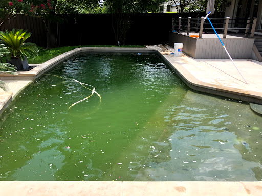 LB Pool Services