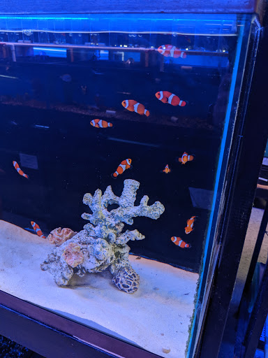 Aquarium Shop «Aquarium Depot», reviews and photos, 11762 SW 88th St, Miami, FL 33186, USA