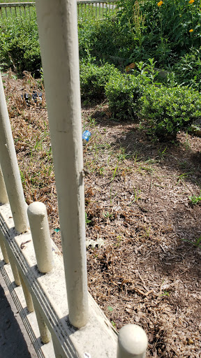 Museum «King Manor Museum», reviews and photos, 150-03 Jamaica Ave, Jamaica, NY 11432, USA