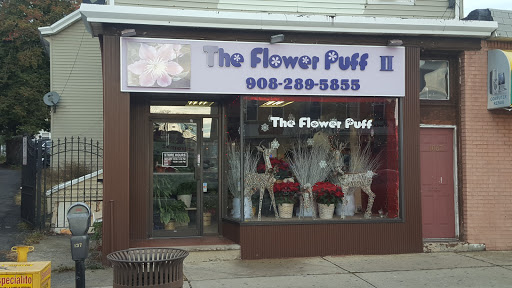 Flower Puff, 1065 Elizabeth Ave, Elizabeth, NJ 07202, USA, 