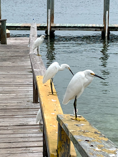 Insurance Agency «Tom Luscombe - State Farm Insurance Agent», reviews and photos