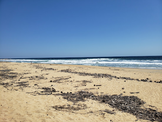 Playa Mata de Mangle