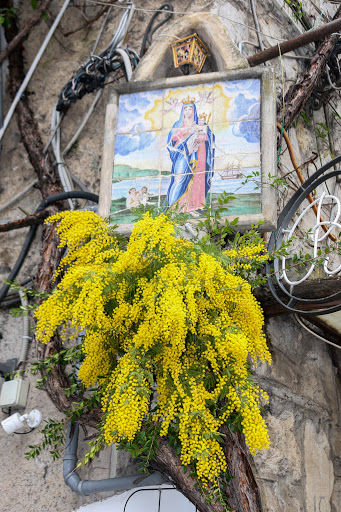 Travel Agency «Lugos Travel Incorporated», reviews and photos, 3825 Florida Ave S #2, Lakeland, FL 33813, USA