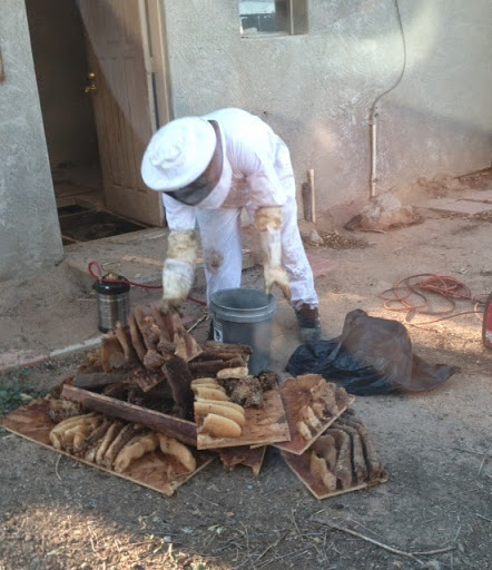 Pest Control Service «MasterTech Pest Solutions LLC», reviews and photos