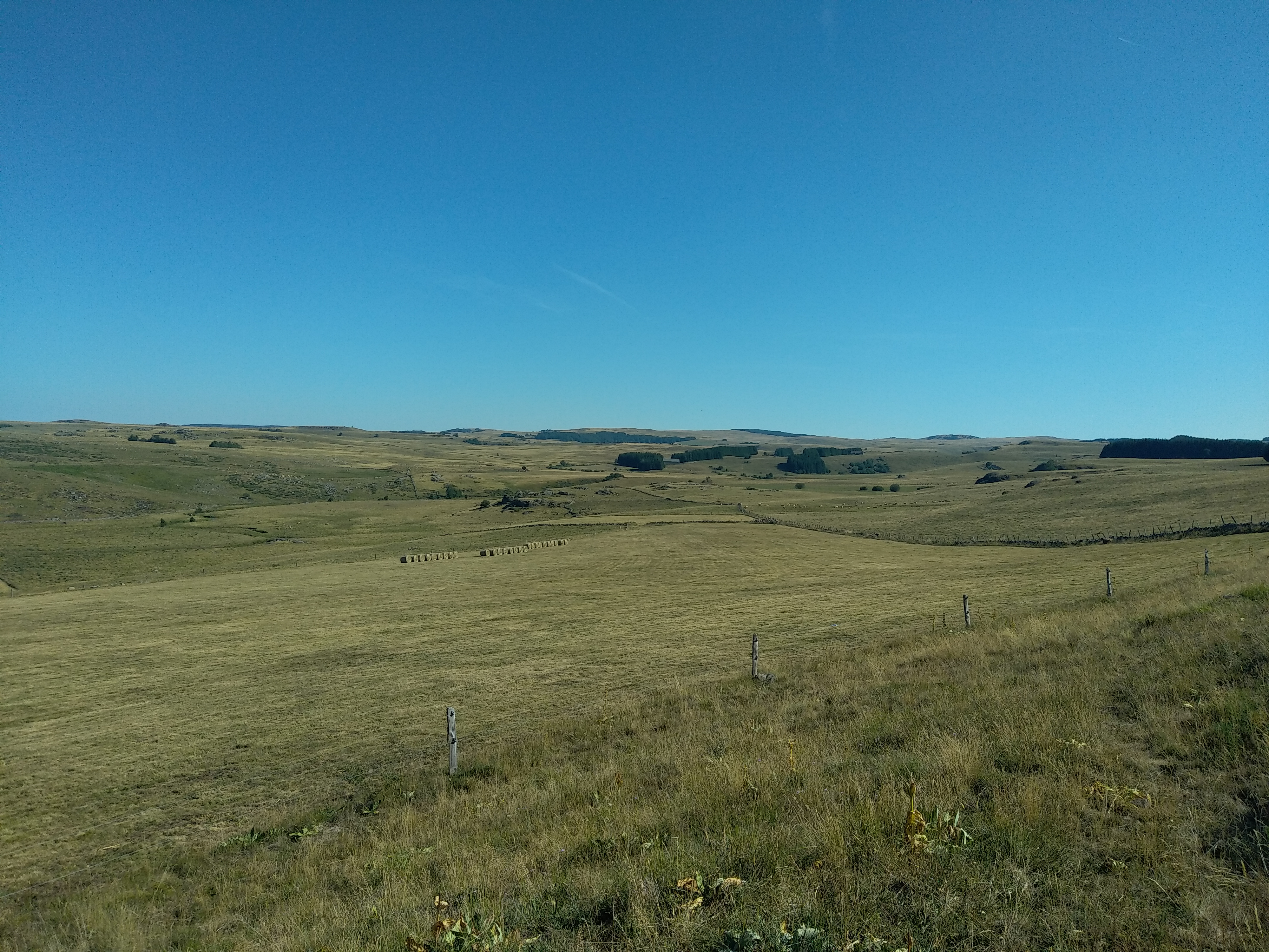 Photo n° 10 de l'avis de Julien.a fait le 14/07/2022 à 19:44