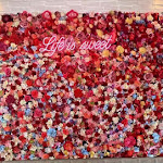 Photo n°1 de l'avis de T. fait le 24/06/2022 à 18:27 sur le  Mahalo Restaurant & Catering Burger, Bowls & Hot Stone Steak à Bad Oeynhausen