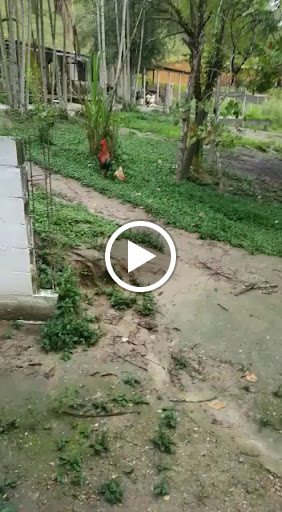 Discount Store «Kmart», reviews and photos, 111 Hulst Dr, Matamoras, PA 18336, USA