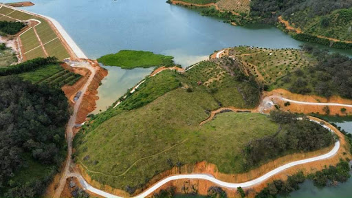 Top 20 background cửa hàng Huyện Cát Tiên Lâm Đồng 2022