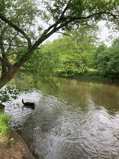 Computer Store «Apple Main Place», reviews and photos, 120 W Jefferson Ave, Naperville, IL 60540, USA