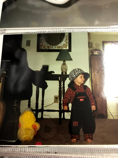 Antique Store «Medford Company Store», reviews and photos, 134 S Main St, Medford, NJ 08055, USA