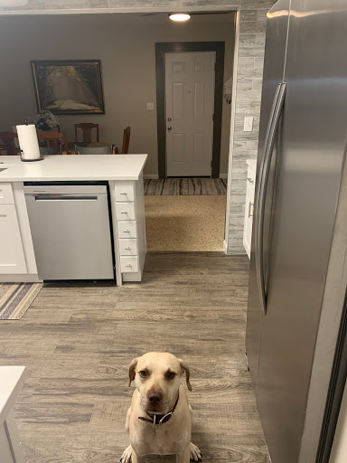 Cabinet Store «AMAZING CABINET STORE», reviews and photos, 6220 S Orange Blossom Trail #609, Orlando, FL 32809, USA